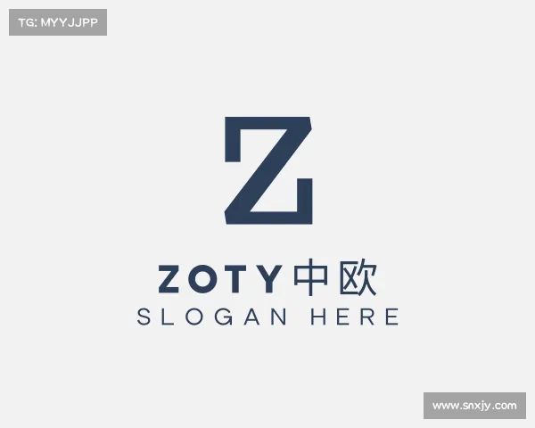 认识zoty中欧